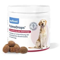 Pulmo Drops 180g
