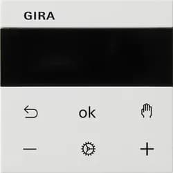 Gira RTR Display 539303