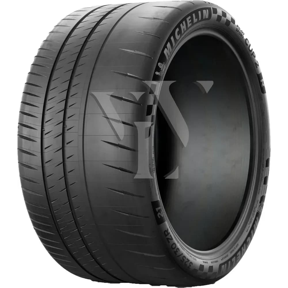 Michelin Pilot Sport Cup 2 R 295/30 R21 102Y XL Sommerreifen