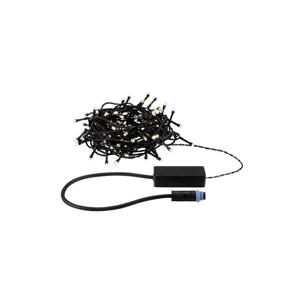 Paulmann Plug & Shine LED Lichterkette Yuna Warmweiß 10m IP44 2,5WSchwarz 94641