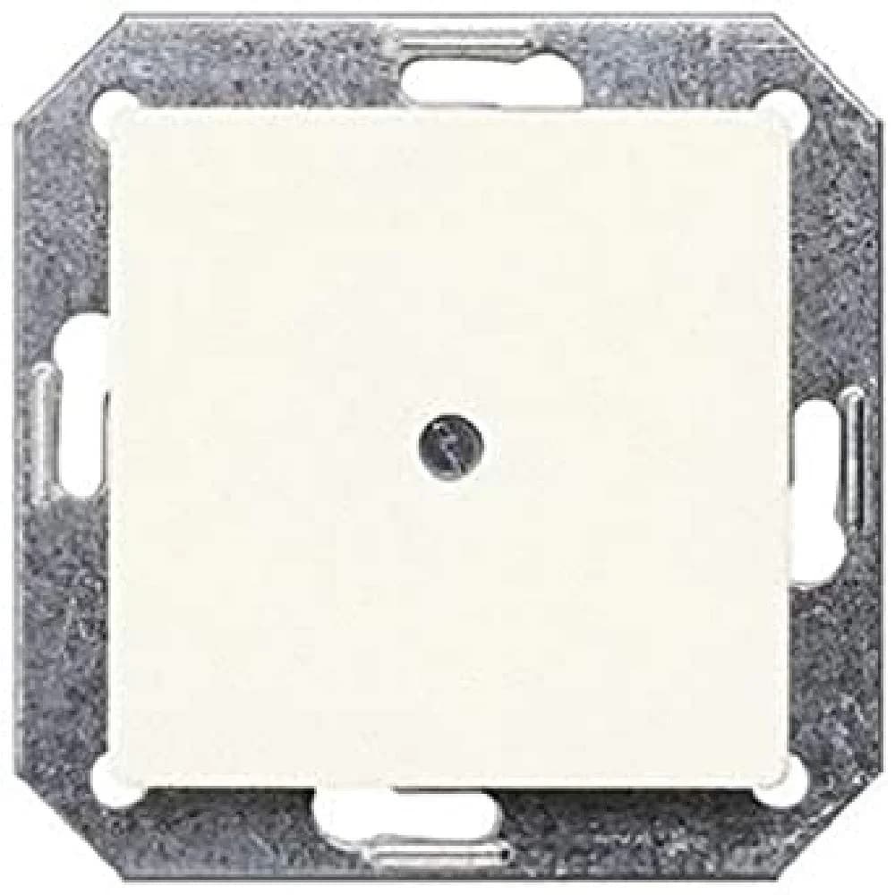 Siemens 5TG2558 Blind-Abdeckplatte