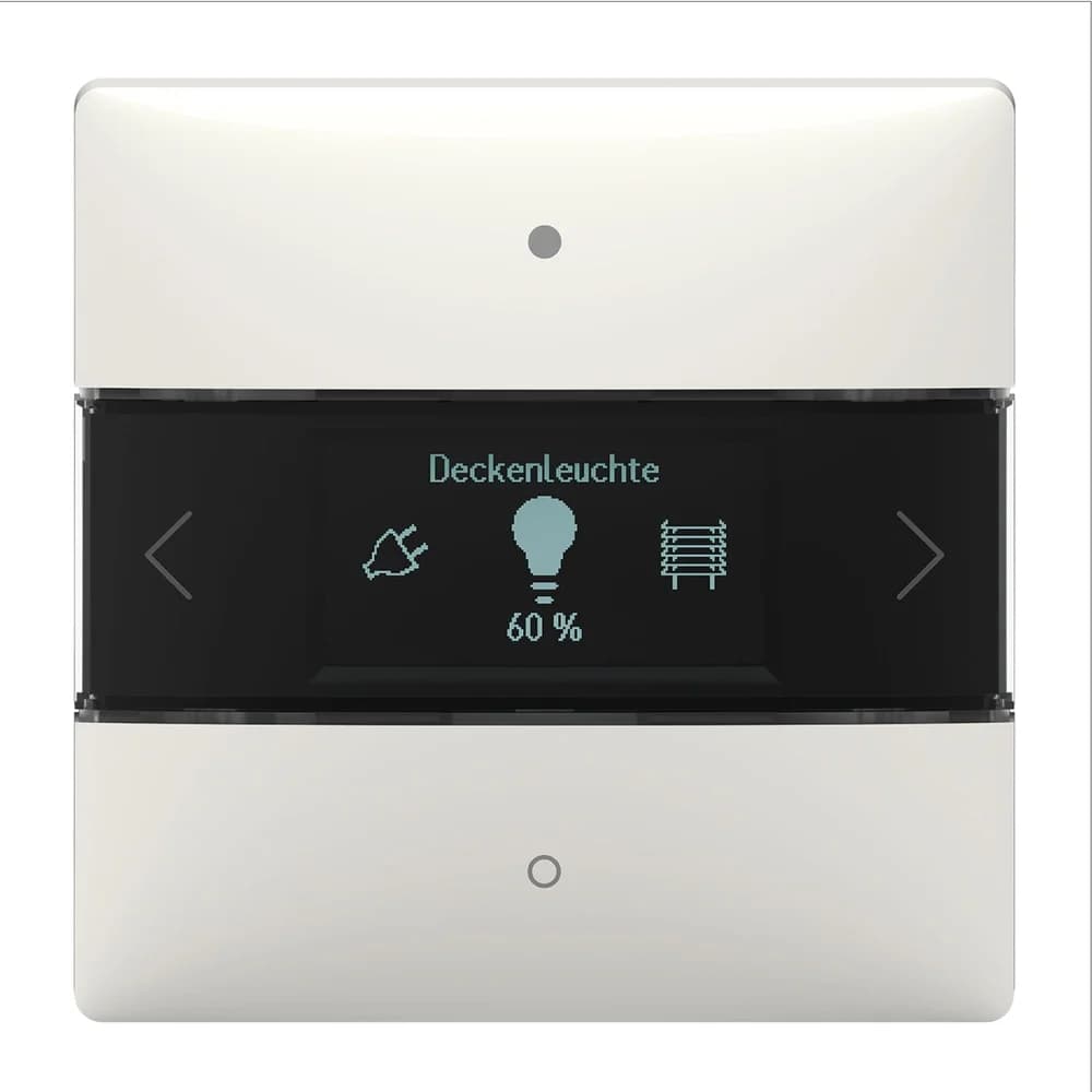 Theben Raumcontroller LUXORliving iON8