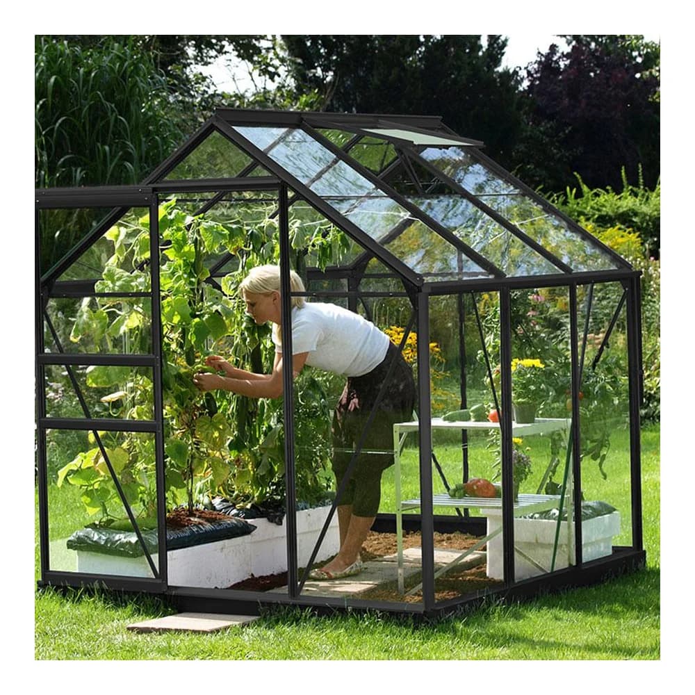 Vitavia Gewächshaus "Venus 3800",schwarz,3,8 m2
