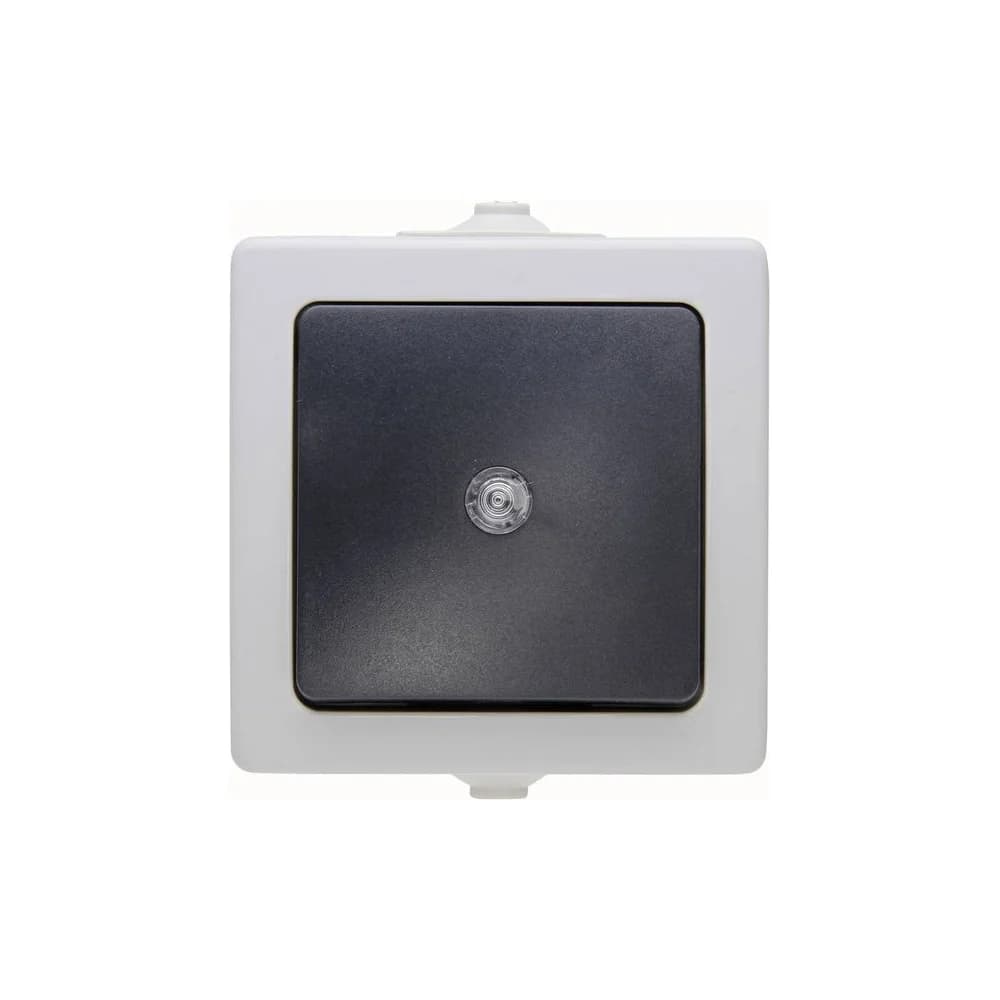 Kopp Taster FR/AP, Nautic grau