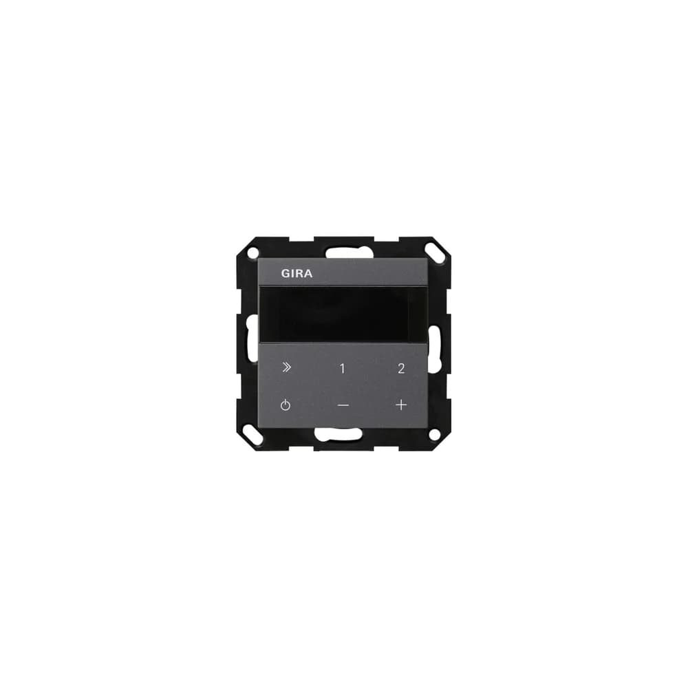 Gira UP-Radio IP 232028