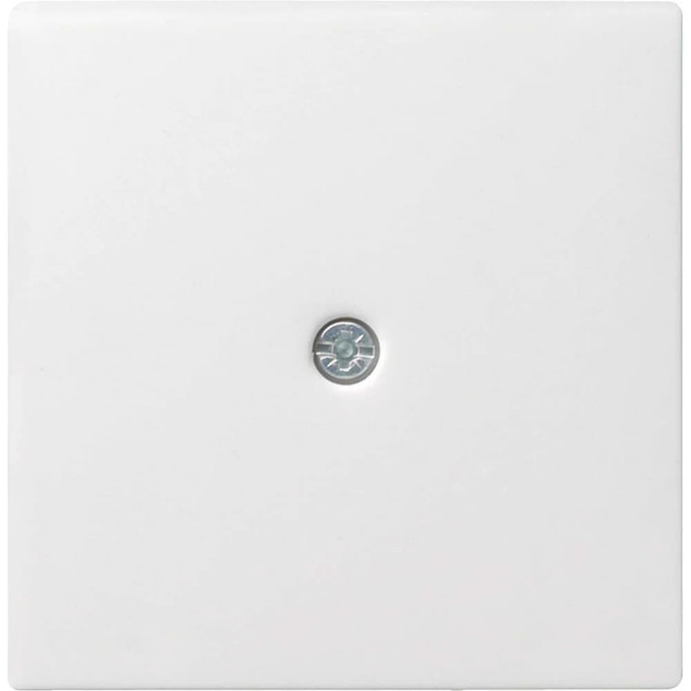 Gira Zentralpl.Schnurabl. rws 027427