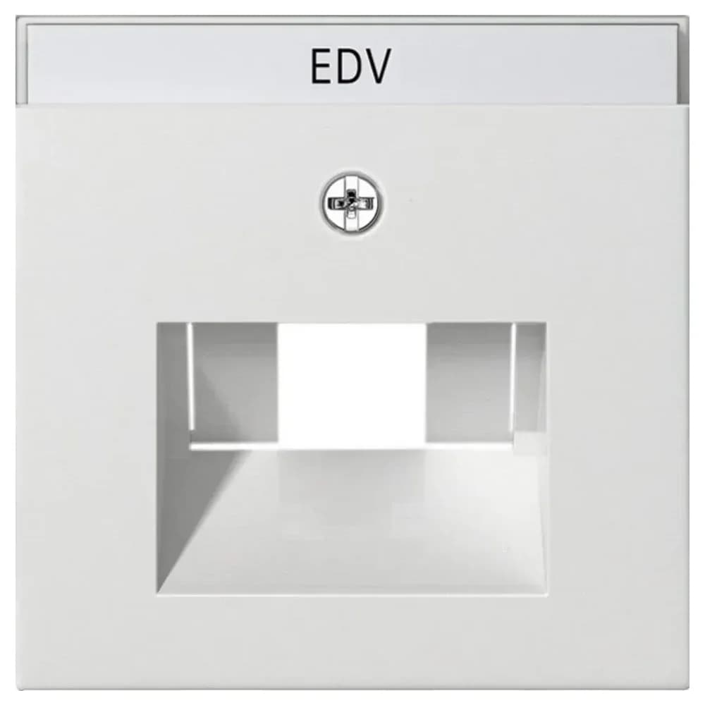 Gira Zentraleinsatz rws-gl 028403