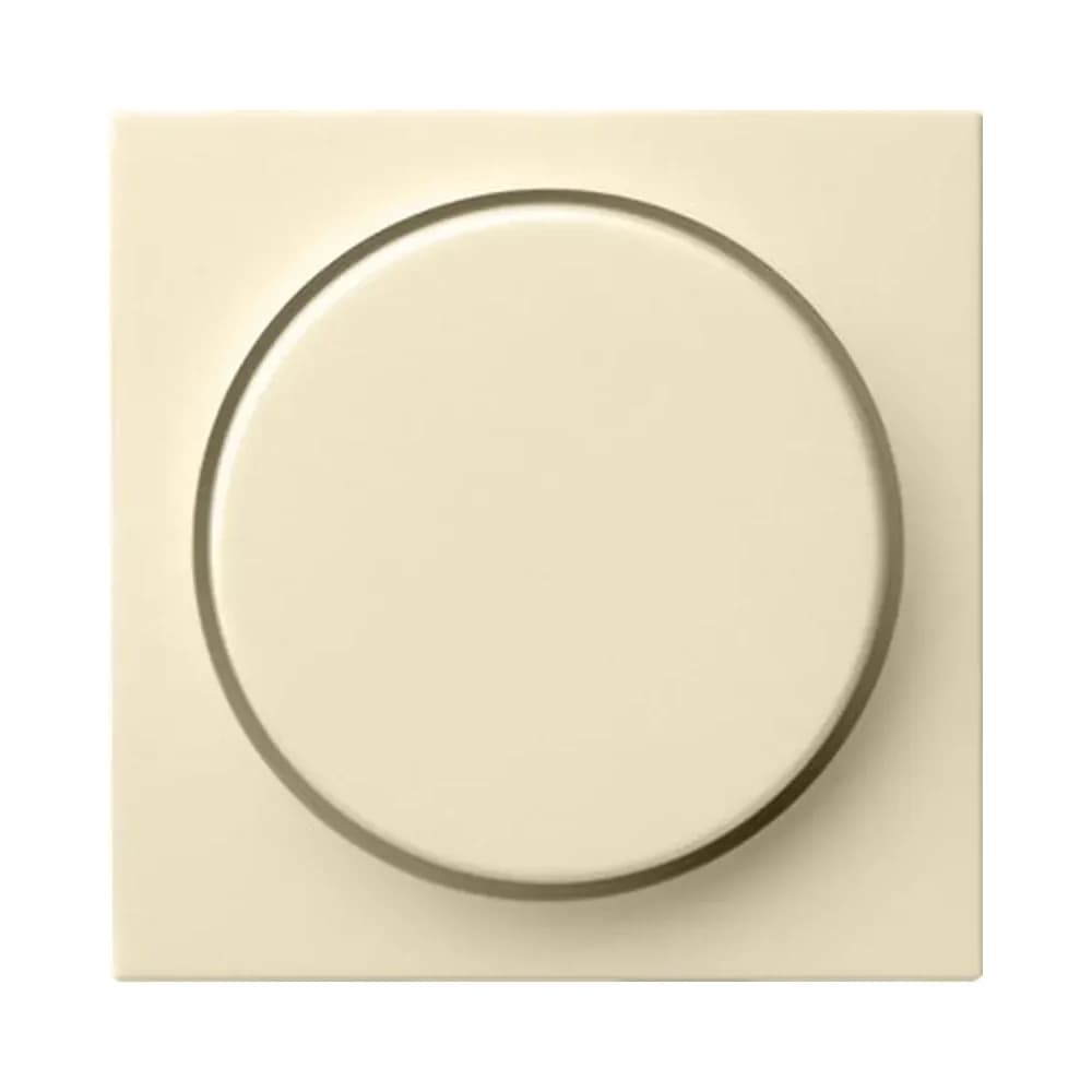 Gira Abdeckung cws-gl 065001