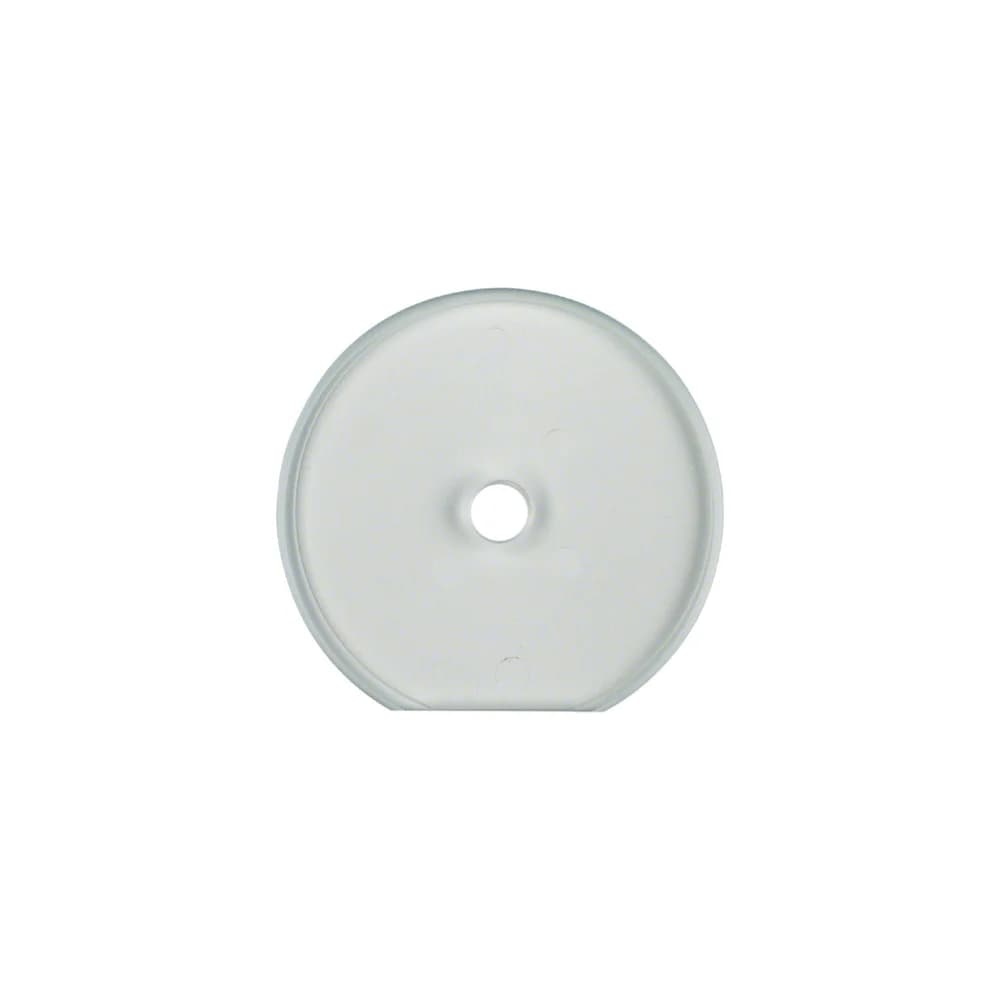 Berker Glasplatte 1094