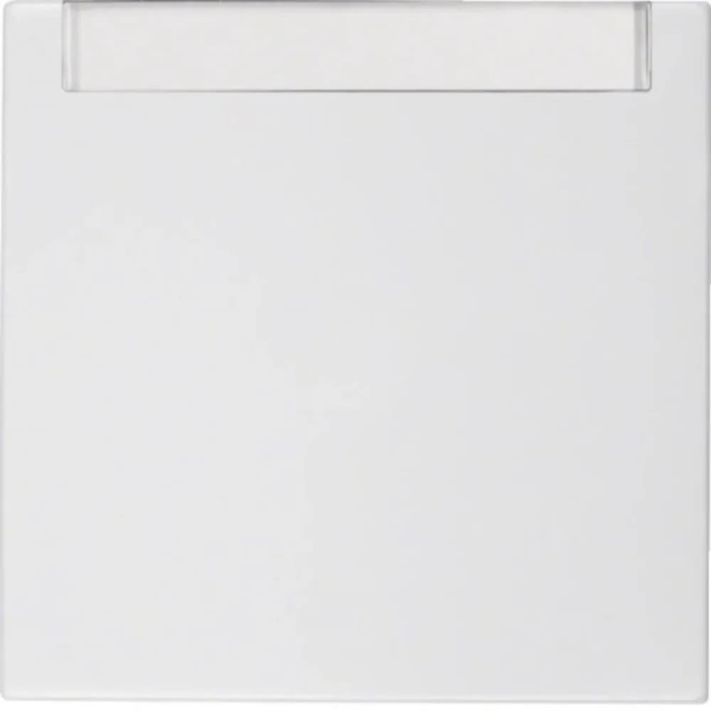 Berker Wippe pws/gl 16268989