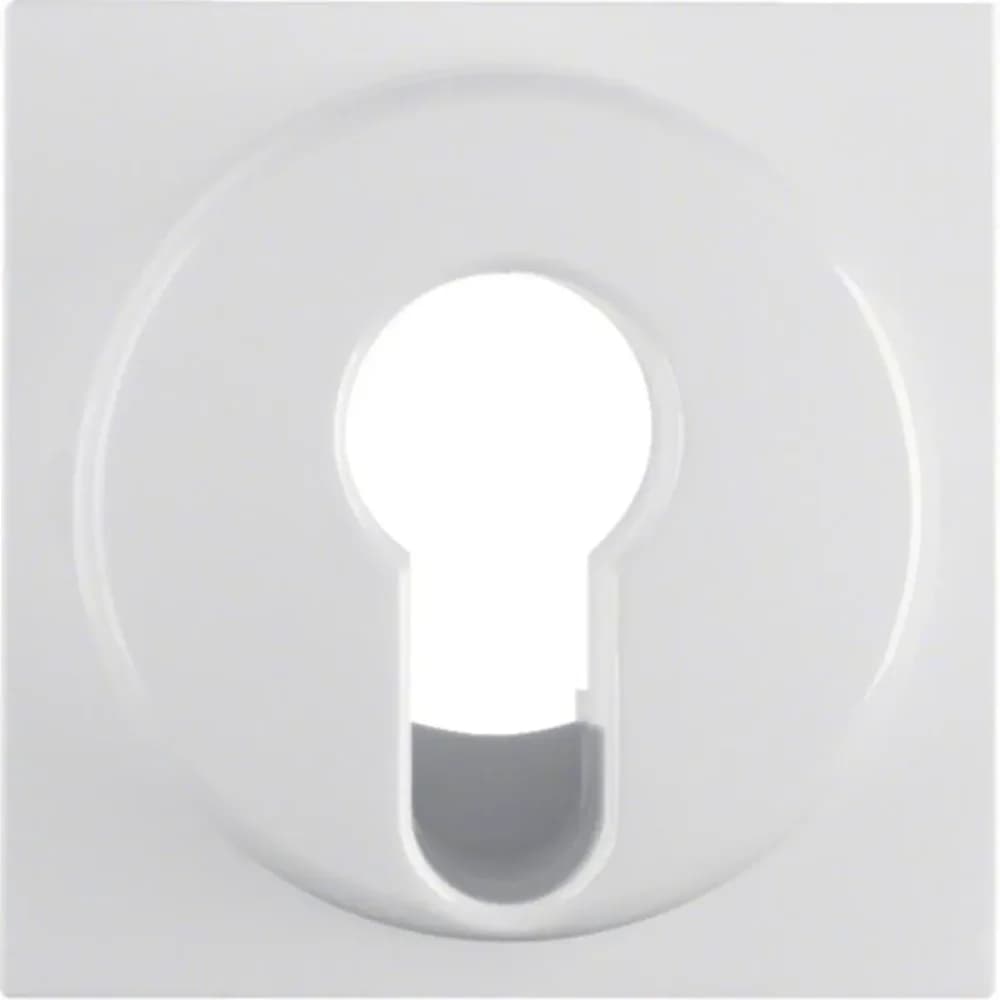 Berker Zentralstück pws/gl 15078989