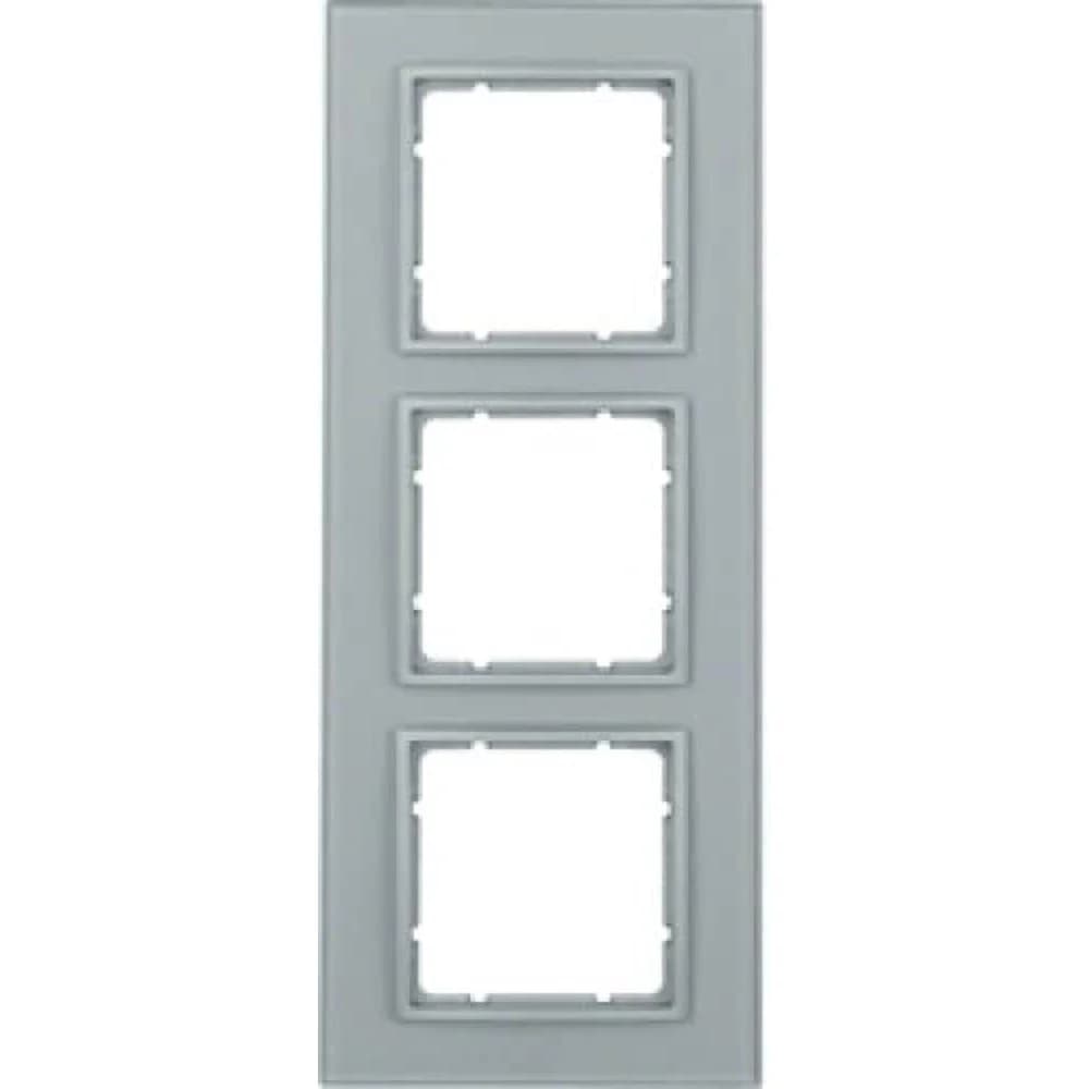 Berker Glasrahmen 10136414