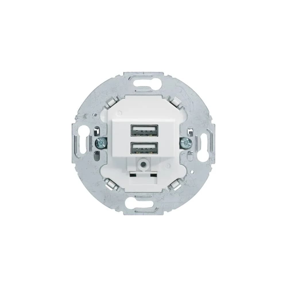 Berker USB Ladesteckdose 230V 260219