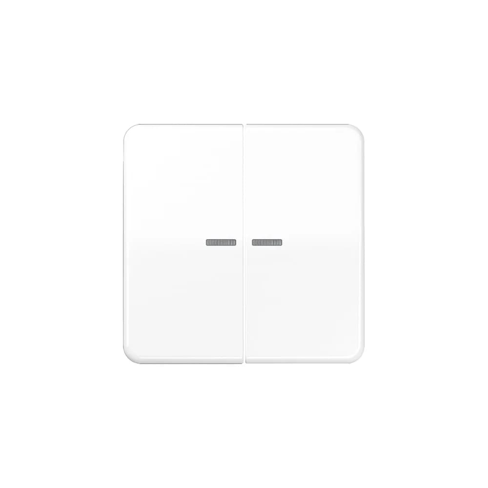 Jung Wippe Lichtleiter aws CD 595 KO5 WW