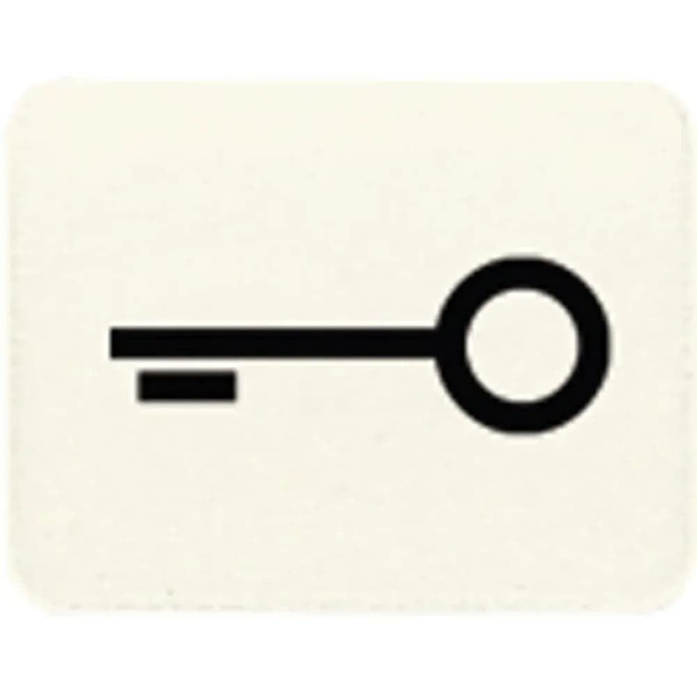 Jung Symbol ws 33 T