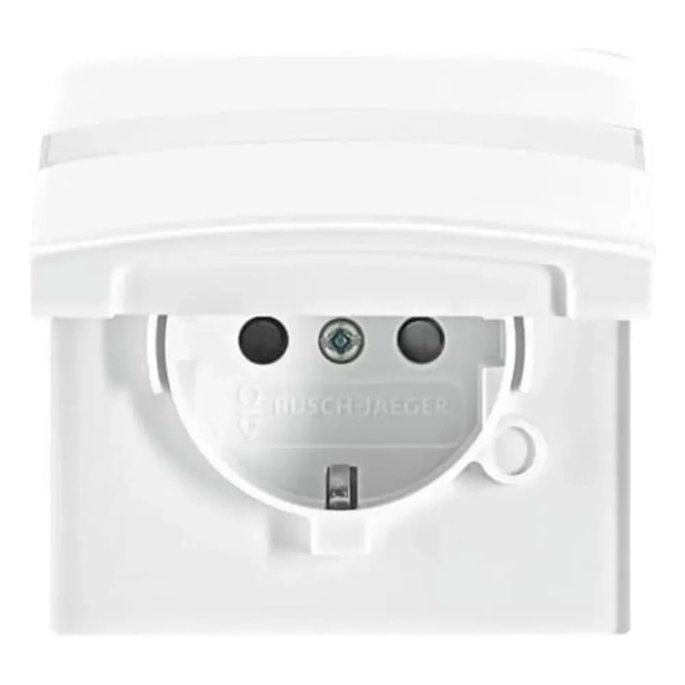 Busch-Jaeger Schuko-Steckdoseneinsatz 20 EUGKBN-34-101
