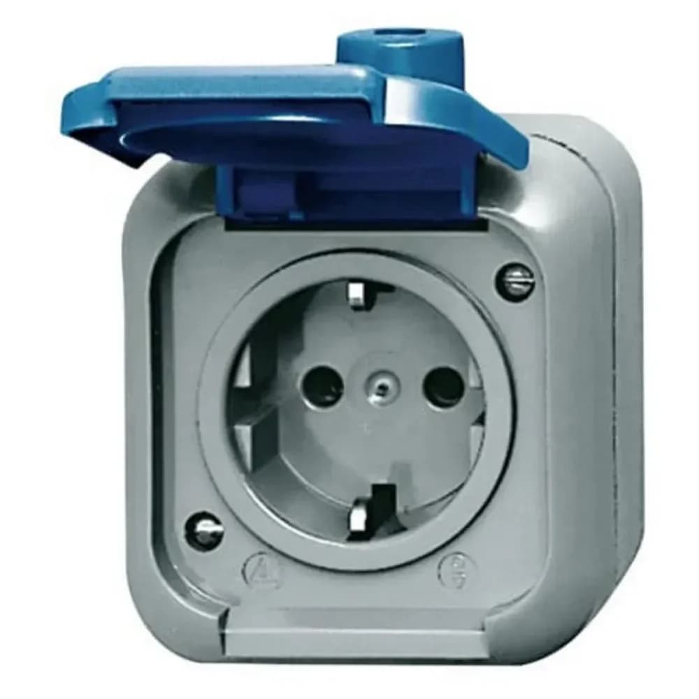 Busch-Jaeger Steckdose 2300 EWSI