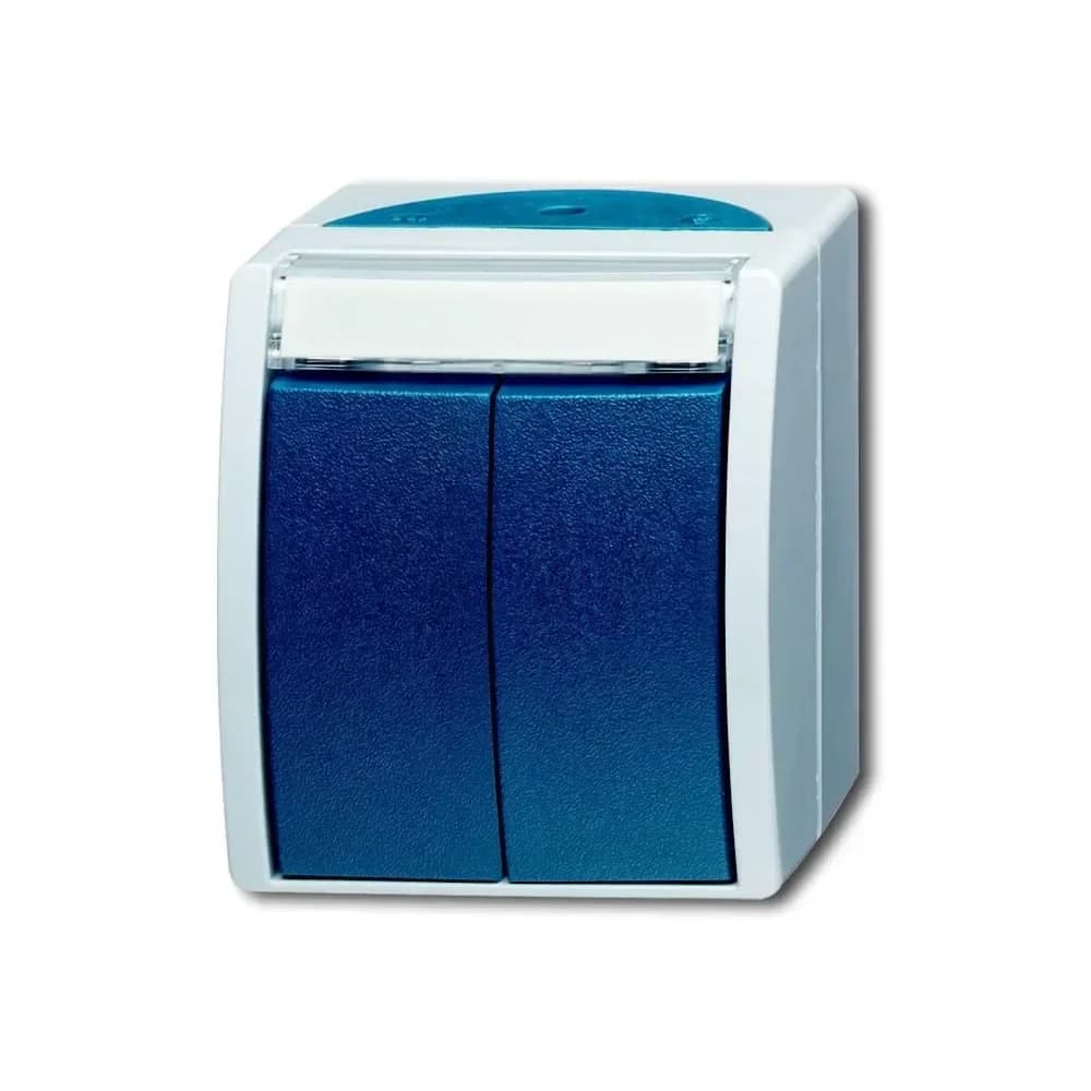 Busch-Jaeger Doppeltaster 2621 WN-53-205-101