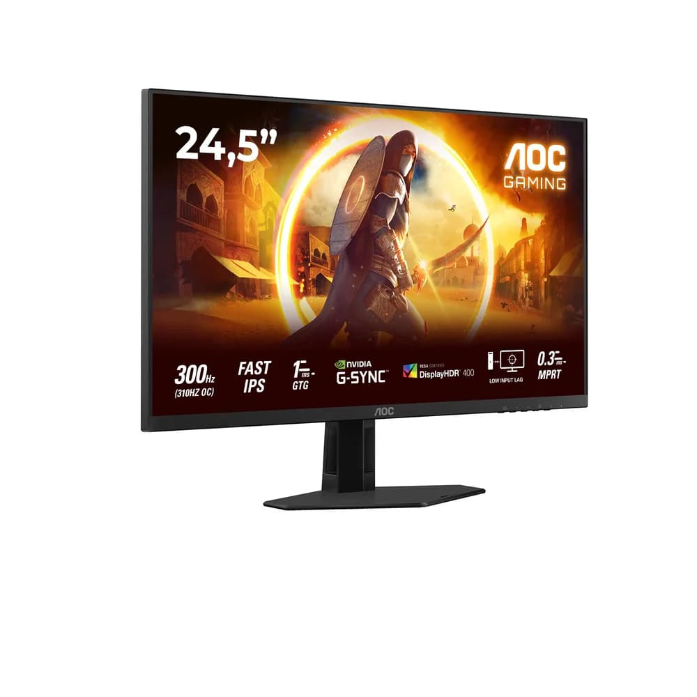AOC 25G4SRE TFT-Monitor schwarz