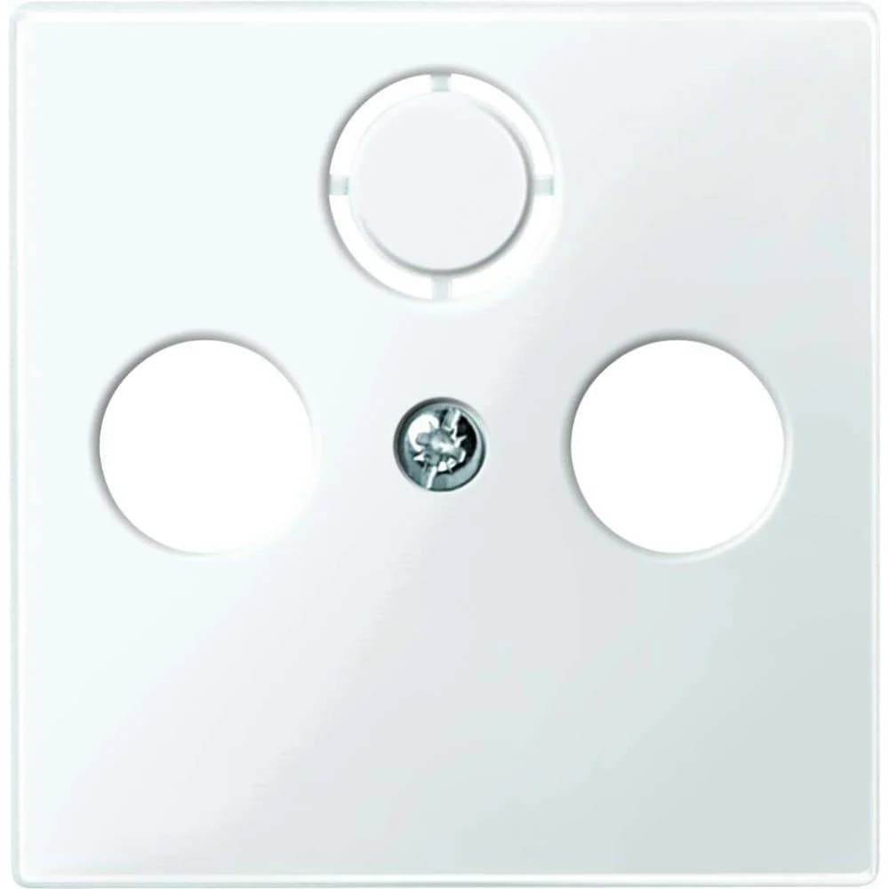 Merten Zentralplatte pws/gl 296719