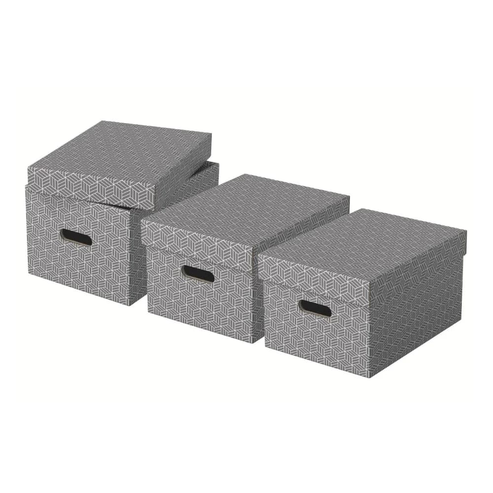 Esselte 3er-Set Archivbox »Home M« grau, 26.5x20.5x36.5 cm