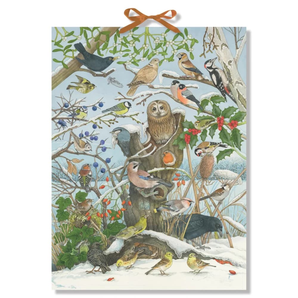 Sound-Adventskalender - Unsere Vögel im Winter